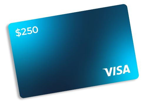$250 Visa Gift Card