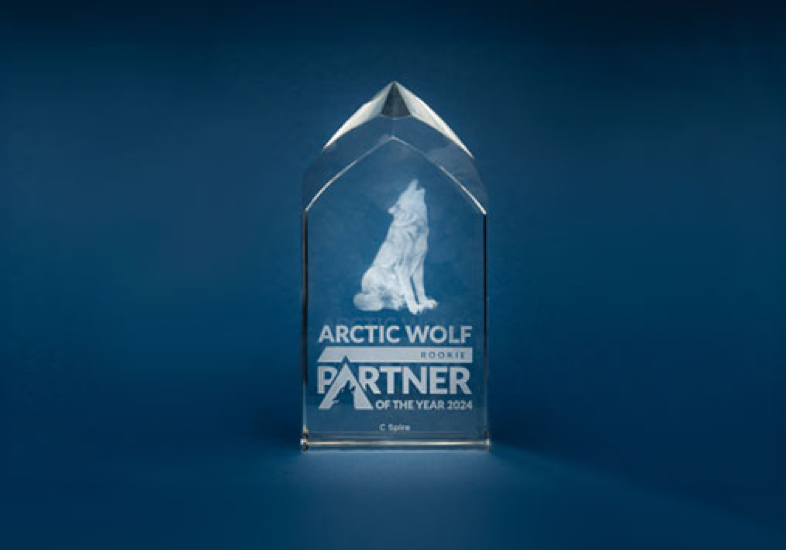 Arctic Wolf Rookie Partner of the Year 